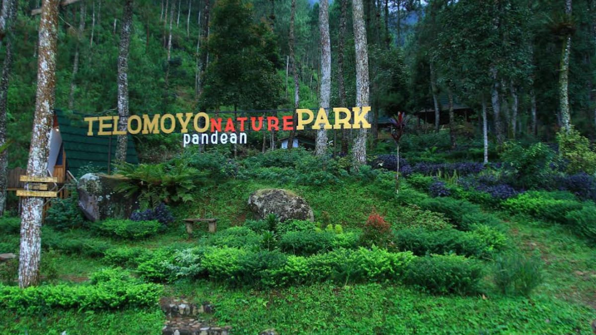 Telomoyo Nature Park: Surga Tersembunyi di Lereng Gunung